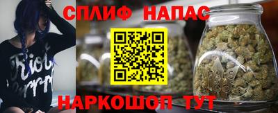 PSILOCYBIN Малоярославец